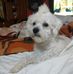 Alejandro Borgia - Facebook