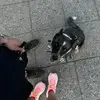 Alejandro Borunda - @alejandroborunda7 - TikTok