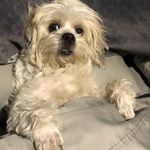 Alejandro Perez Borunda - @alekz_borunda - Instagram
