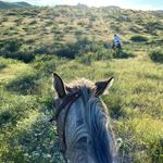José Alejandro - @alejandroborundag - Instagram