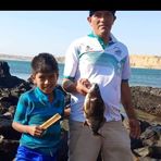 Joseph Alejandro Boyer Mallqui - Facebook