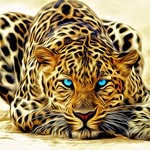 Alejandro Boza Royo - @alejandro_boza_5_5_5 - Instagram