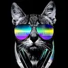 Alejandro Bran - @alejandro42009 - TikTok