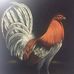 Alejandro Brenes - Facebook