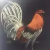 alejandrobrenes314 - @alejandrobrenes314 - TikTok