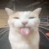 Alejandro Bridges - @kenleywall546257 - TikTok