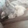 Alejandro Houghton - @alejandro.houghto - TikTok
