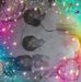 Alejandro Bruno - Facebook