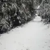 Alejandro Buelna - @alejandrobuelna3 - TikTok