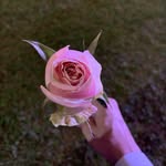 Alejandro Buitrago - @alejandrobuitrago_ - Instagram