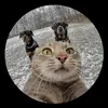 Hector Alejandro Burrola Fuent - @hector.alejandro768 - TikTok