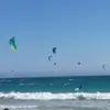 alejandrobushguzm - @alejandrobushguzm - TikTok