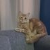 Broderick Alejandro Sanchez Buzetaa - Facebook
