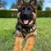 Alejandro Caal - Facebook