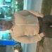 Alejandro Caamal - Facebook