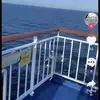 Alejandro.Cabán - @kalohoxnxw4 - TikTok