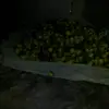 Alejandro cabeza - @alejandro.cabeza14 - TikTok