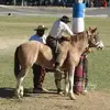 Alejandro Cabral - @alejandro.cabral88 - TikTok