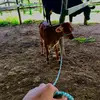 Alejandro Caceres - @alejandro_caceres222 - TikTok