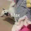 alejandrocaceres203 - @alejandrocaceres203 - TikTok