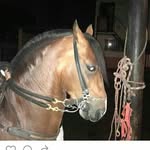 Alejandro Calcano - @alejandrocalcano79 - Instagram