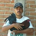 alejandro calvillo arreiola - @alejandrocalvilloarreola - Instagram