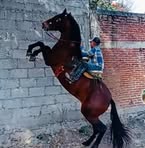 Alejandro Cambray - Facebook