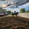 cambray jr - @alejandro.cambray5 - TikTok