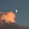 Alejandro Campbell - @alejandrocampbell2206 - TikTok