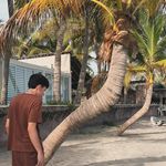 alejandro canales - @alejandro_canales - Instagram