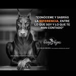Alejandro Cañas Liñan - @alejandro_canas_1989 - Instagram