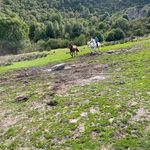 Alejandro Cuervo Menéndez - @alejandrocandamo_ - Instagram