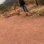 Alejandro Canedo R - @alejandro64932 - Instagram