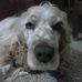 Alejandro Canepa - Facebook