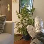 Alejandro Canepa - @paton9canepa - Instagram