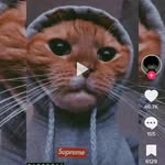 Diego Alejandro Terán Cañez - @diegoalejandroterancanez - Instagram