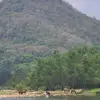 Alejandro Cantarero - @alejandro.cantare3 - TikTok