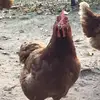 Alejandro Cantero - @alejandro.cantero8 - TikTok