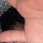 Alejandro Cantón - Facebook