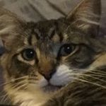 Alejandro Capiz - @alejandro.capiz - Instagram