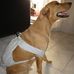 Alejandro Capone - Facebook