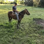 Alejandro Carbonell Mujica - @alejandrocarbonell1 - Instagram