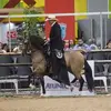 alejandrocardozo368 - @alejandrocardozo368 - TikTok