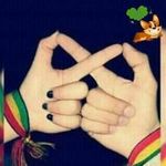 Alejandro Careaga - @careaga3485 - Instagram