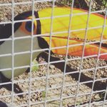 alejandro carmenate - @alejandrocarmenate77 - Instagram