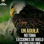 Alejandro Delfin Rivas - @alejandrodelfinrivas - Instagram