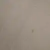 Alejandro Domingo - @alejandrogomingo - TikTok