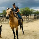 Alejandro Elizondo - @alejandro_elizon - Instagram