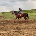 Alejandro Elizondo - @alejandroelizondo61 - Instagram