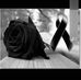 Alejandro Elizondo - Facebook